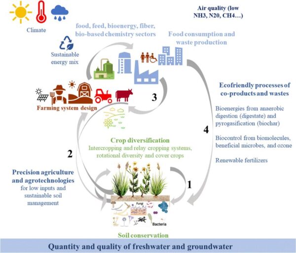 Combining agroecology and bioeconomy from agroecosystems to territory 1 Cropping system