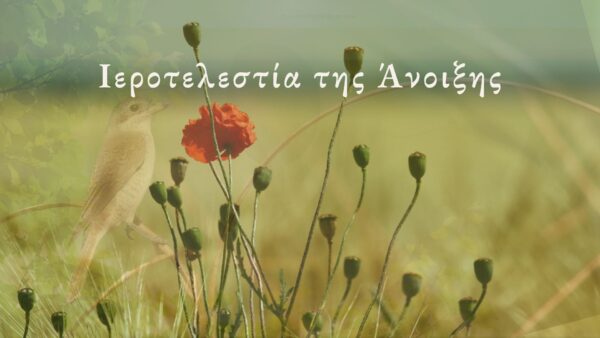 editorial spring xxxx