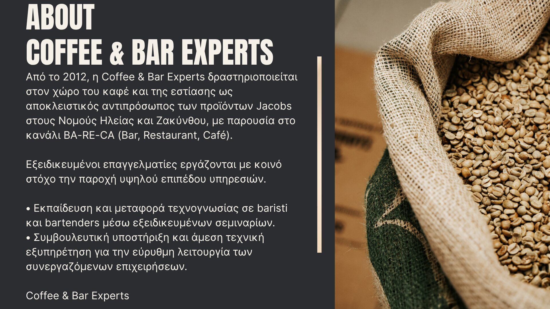 new C Expert 2