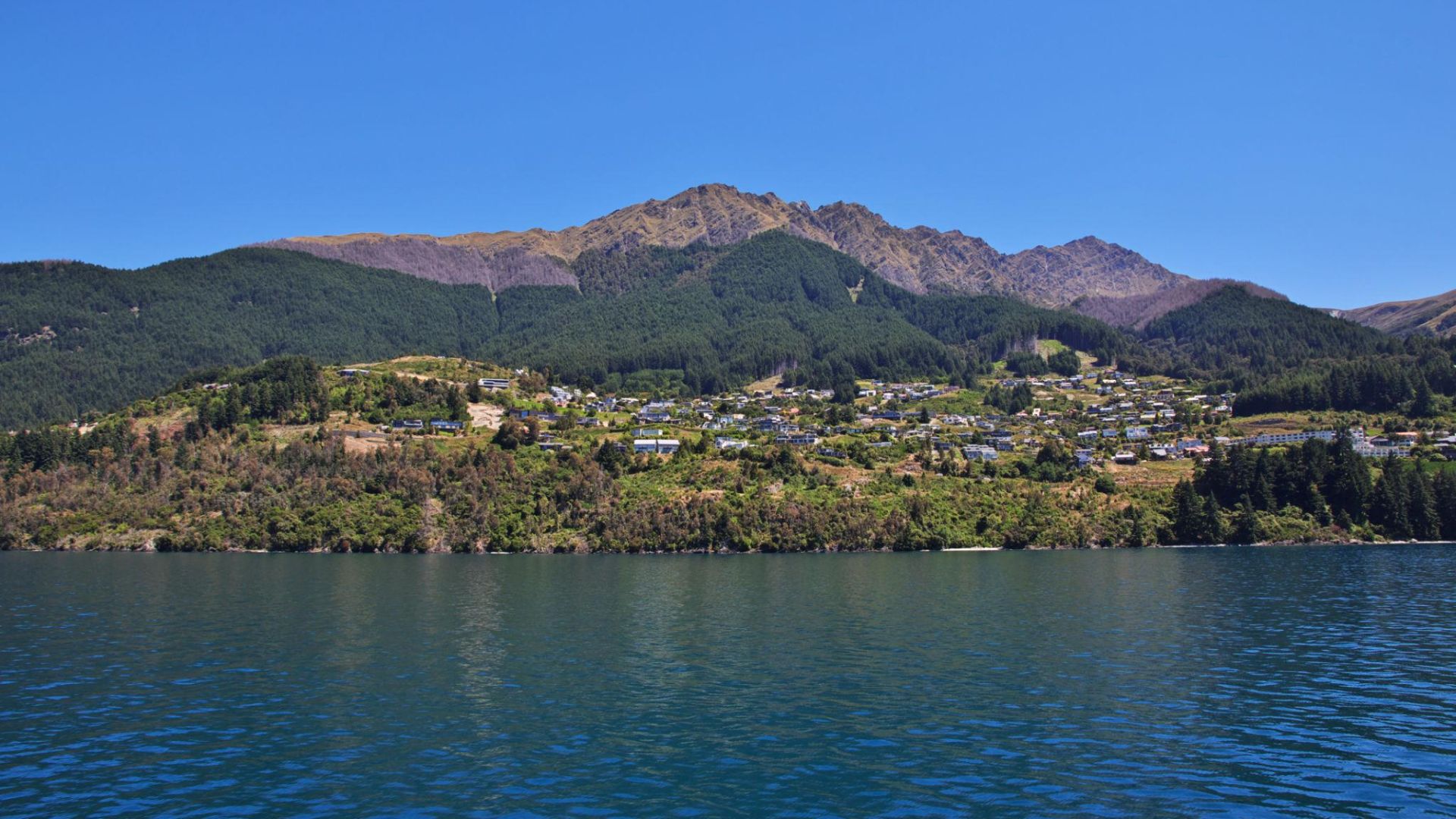 new zealand